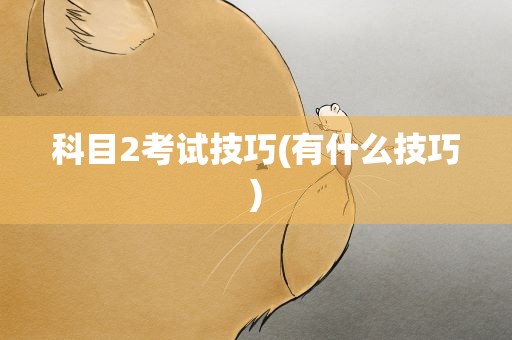科目2考试技巧(有什么技巧)