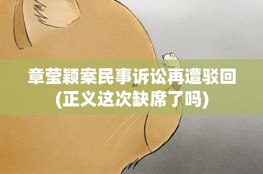 章莹颖案民事诉讼再遭驳回(正义这次缺席了吗)