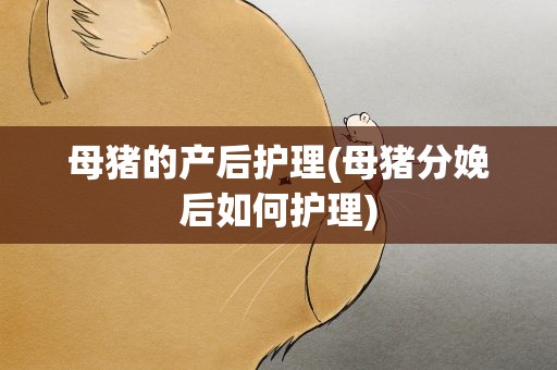 母猪的产后护理(母猪分娩后如何护理)