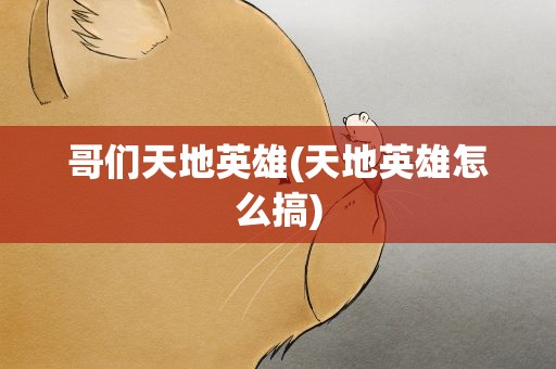 哥们天地英雄(天地英雄怎么搞)