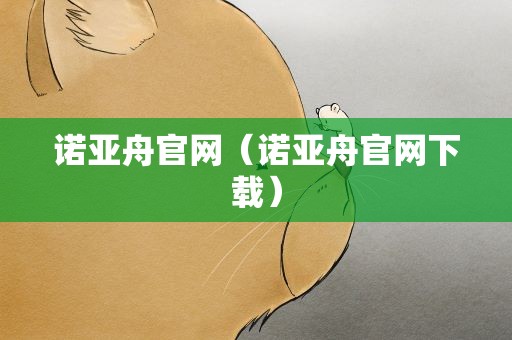 诺亚舟官网（诺亚舟官网下载）