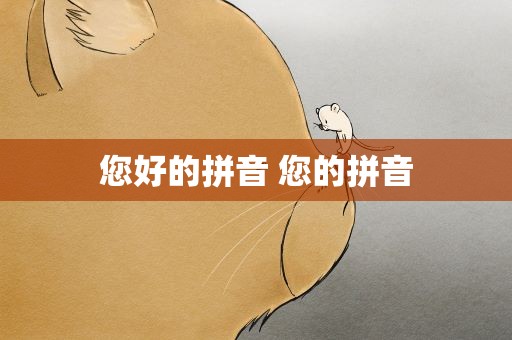 您好的拼音 您的拼音