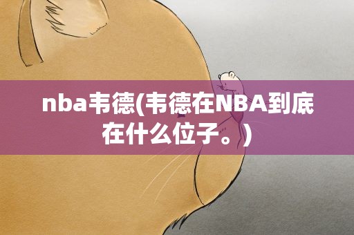 nba韦德(韦德在NBA到底在什么位子。)