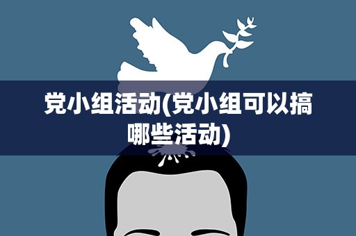 党小组活动(党小组可以搞哪些活动)