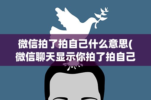 微信拍了拍自己什么意思(微信聊天显示你拍了拍自己什么意思)