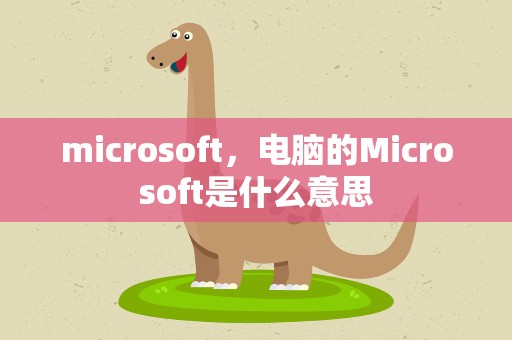 microsoft，电脑的Microsoft是什么意思