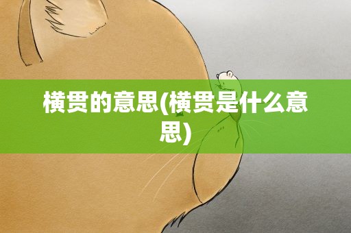横贯的意思(横贯是什么意思)
