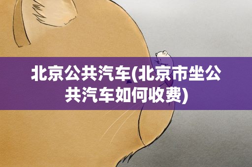 北京公共汽车(北京市坐公共汽车如何收费)
