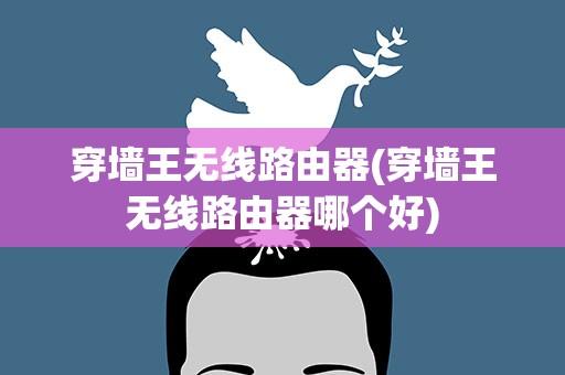 穿墙王无线路由器(穿墙王无线路由器哪个好)