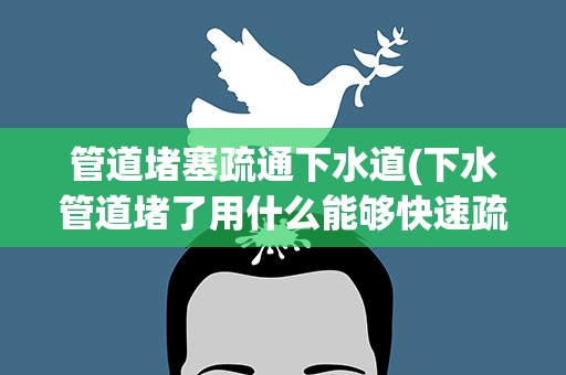 管道堵塞疏通下水道(下水管道堵了用什么能够快速疏通)