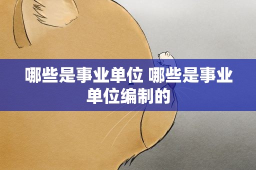 哪些是事业单位 哪些是事业单位编制的