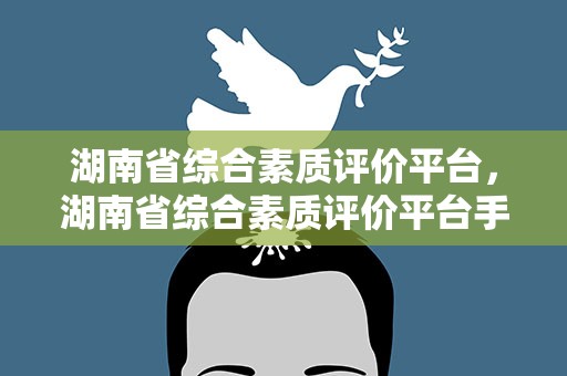 湖南省综合素质评价平台，湖南省综合素质评价平台手机版