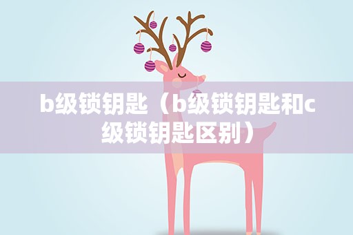 b级锁钥匙（b级锁钥匙和c级锁钥匙区别）