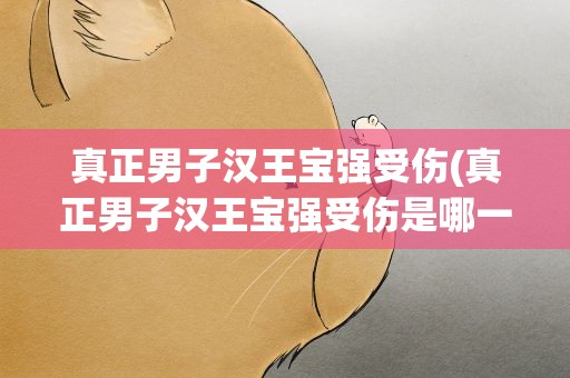 真正男子汉王宝强受伤(真正男子汉王宝强受伤是哪一期怎么受伤的严重吗)