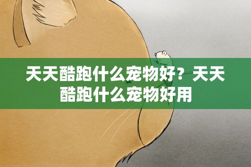 天天酷跑什么宠物好？天天酷跑什么宠物好用