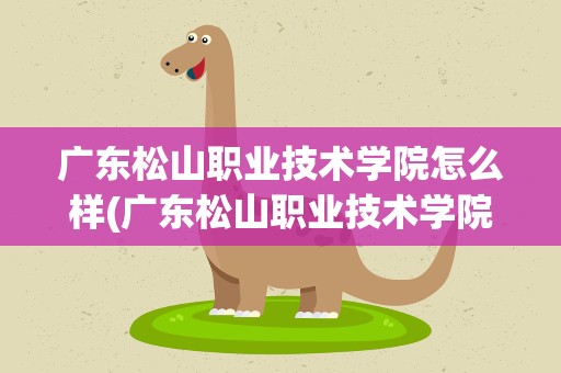 广东松山职业技术学院怎么样(广东松山职业技术学院怎么样知乎)