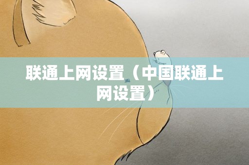 联通上网设置（中国联通上网设置）