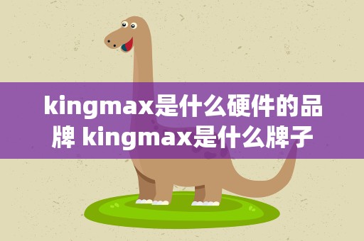 kingmax是什么硬件的品牌 kingmax是什么牌子