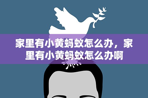 家里有小黄蚂蚁怎么办，家里有小黄蚂蚁怎么办啊