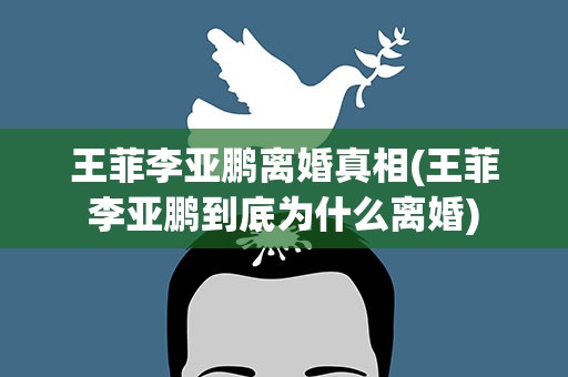 王菲李亚鹏离婚真相(王菲李亚鹏到底为什么离婚)