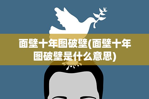 面壁十年图破壁(面壁十年图破壁是什么意思)