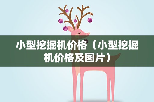 小型挖掘机价格（小型挖掘机价格及图片）