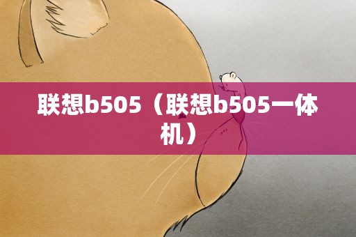 联想b505（联想b505一体机）