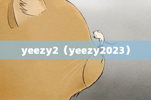 yeezy2（yeezy2023）