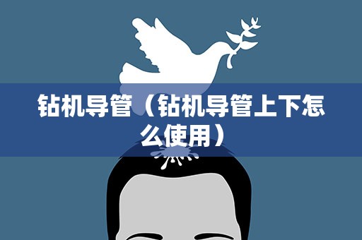 钻机导管（钻机导管上下怎么使用）