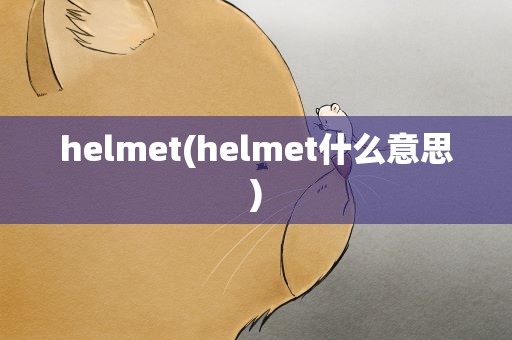 helmet(helmet什么意思)