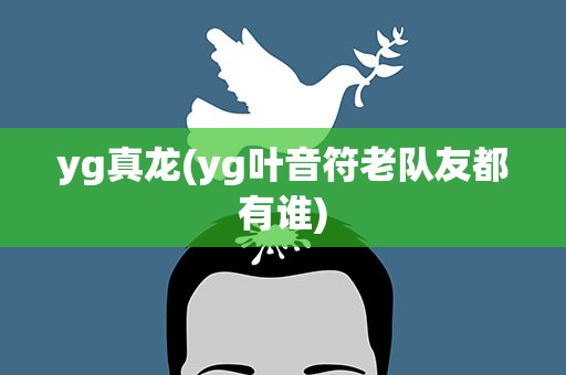 yg真龙(yg叶音符老队友都有谁)
