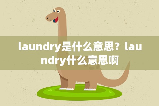 laundry是什么意思？laundry什么意思啊