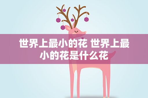 世界上最小的花 世界上最小的花是什么花