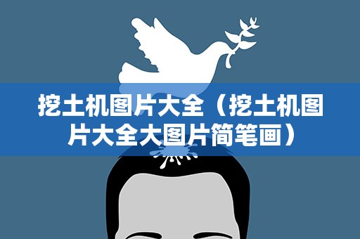 挖土机图片大全（挖土机图片大全大图片简笔画）