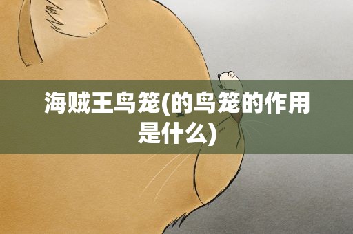 海贼王鸟笼(的鸟笼的作用是什么)