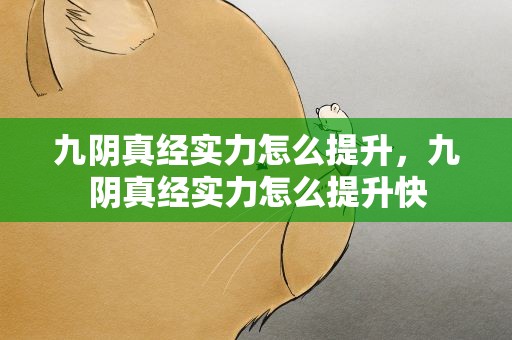 九阴真经实力怎么提升，九阴真经实力怎么提升快