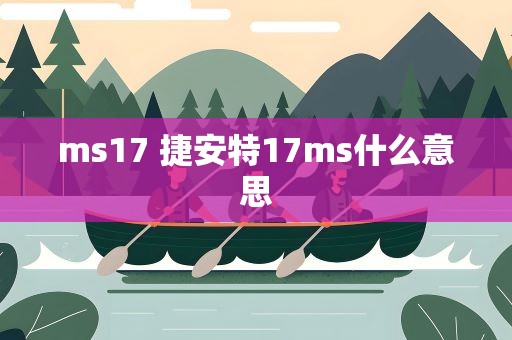 ms17 捷安特17ms什么意思