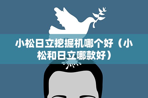 小松日立挖掘机哪个好（小松和日立哪款好）