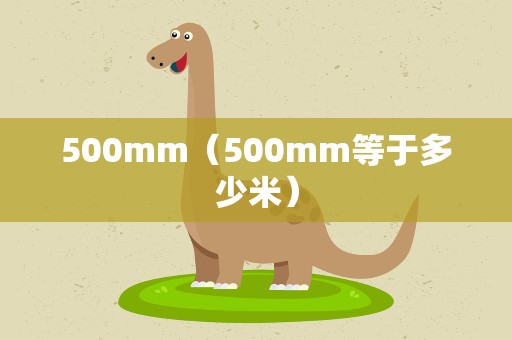 500mm（500mm等于多少米）