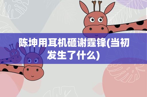 陈坤用耳机砸谢霆锋(当初发生了什么)