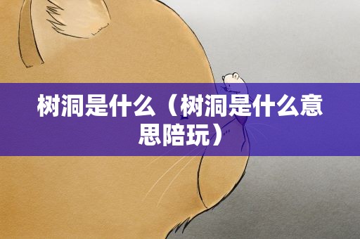 树洞是什么（树洞是什么意思陪玩）