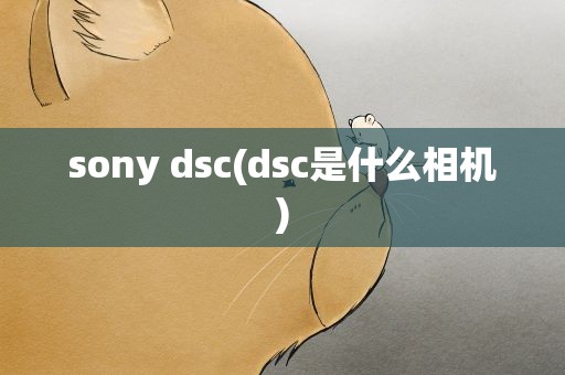 sony dsc(dsc是什么相机)