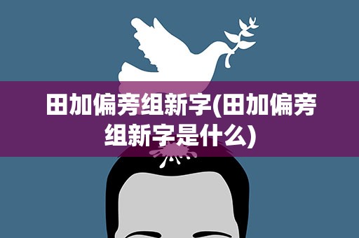 田加偏旁组新字(田加偏旁组新字是什么)
