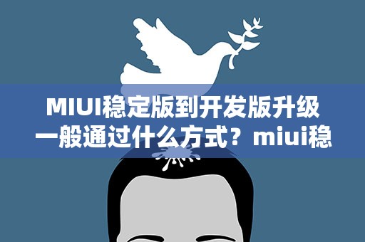 MIUI稳定版到开发版升级一般通过什么方式？miui稳定版到开发版升级一般通过什么方式