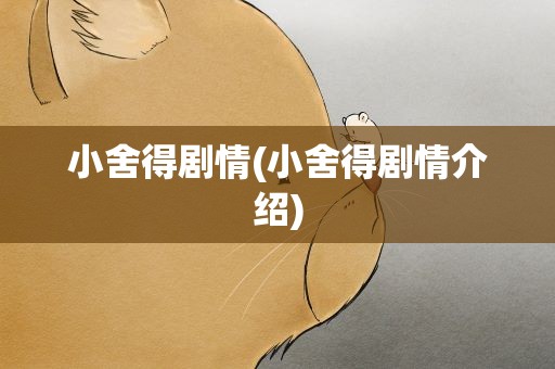 小舍得剧情(小舍得剧情介绍)