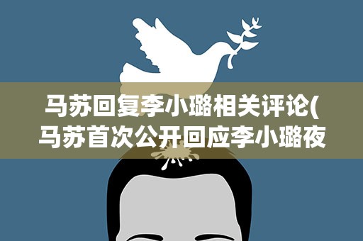 马苏回复李小璐相关评论(马苏首次公开回应李小璐夜宿事件说了什么)