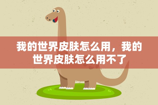 我的世界皮肤怎么用，我的世界皮肤怎么用不了