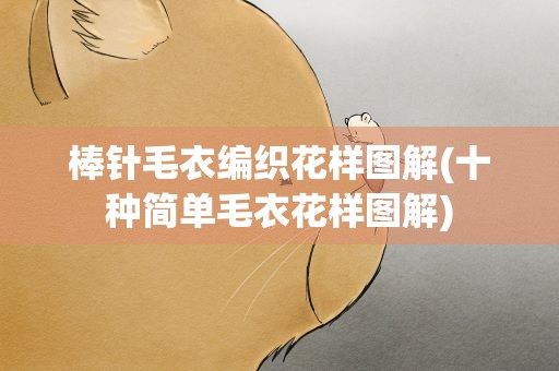棒针毛衣编织花样图解(十种简单毛衣花样图解)
