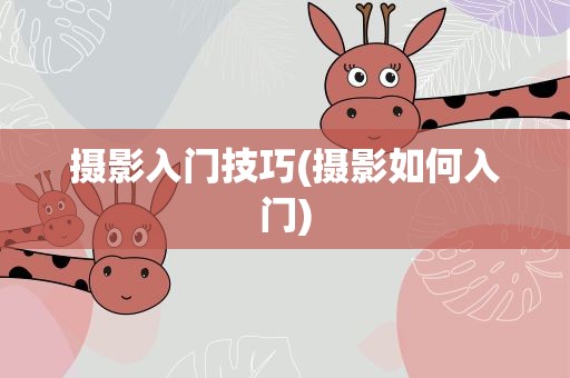 摄影入门技巧(摄影如何入门)