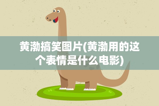 黄渤搞笑图片(黄渤用的这个表情是什么电影)